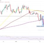 Cryptocurrency Market Faces Significant Decline Amid Investor Caution