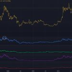 BNB Chain Emerges as Resilient Contender in Challenging Altcoin Market