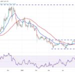 Bitcoin Reaches New All-Time High Fuels Optimism Across Cryptocurrency Market