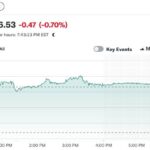 eToro's IPO Surge Highlights Retail Investment Trends