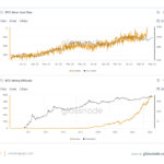 Navigating Bull and Bear Markets in Cryptocurrency