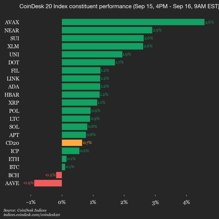 CoinDesk 20 index shows mixed performance amid market fluctuations