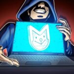 Controversial Solana Memecoin Crash Highlights Cryptocurrency Risks